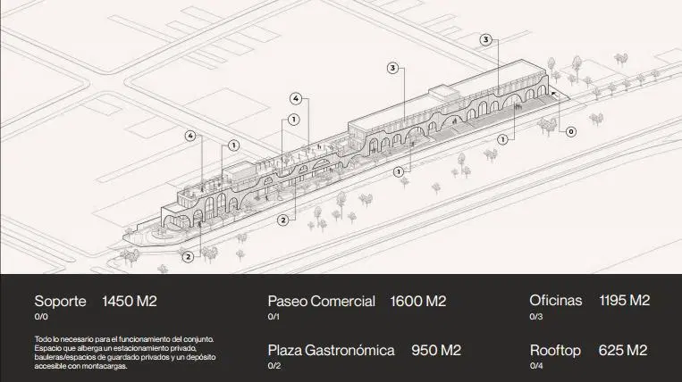 Plano 6