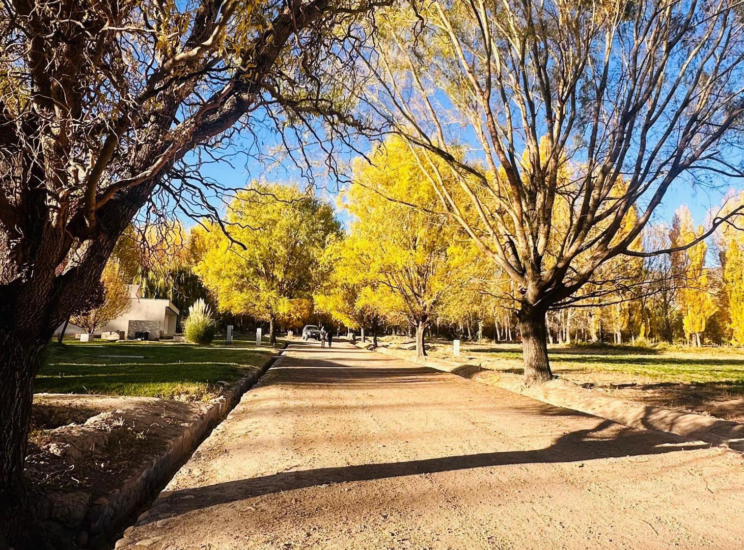 VENTA LOTE BARRIO CUATRO ELEMENTOS USPALLATA