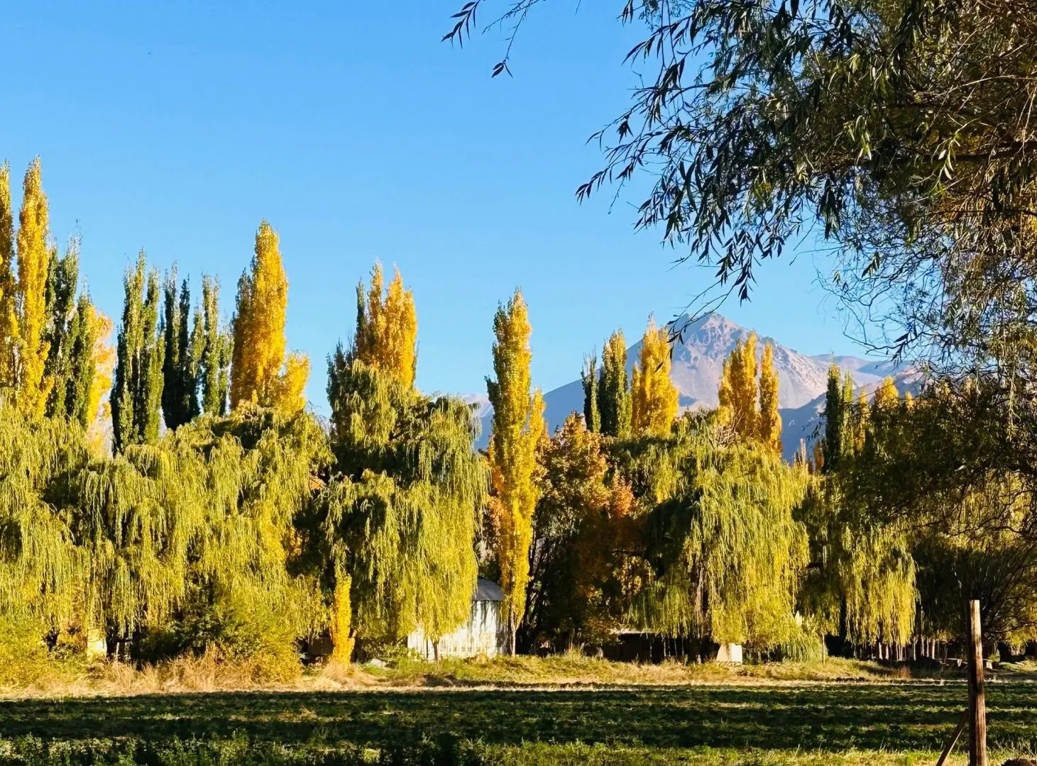 VENTA LOTE BARRIO CUATRO ELEMENTOS USPALLATA 5