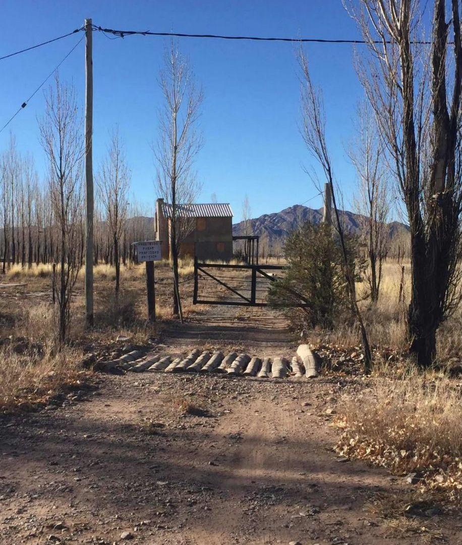 Foto de VENTA CASA EN USPALLATA SAN ALBERTO SOBRE TERRENO DE 2.500 MTS, imagen 4