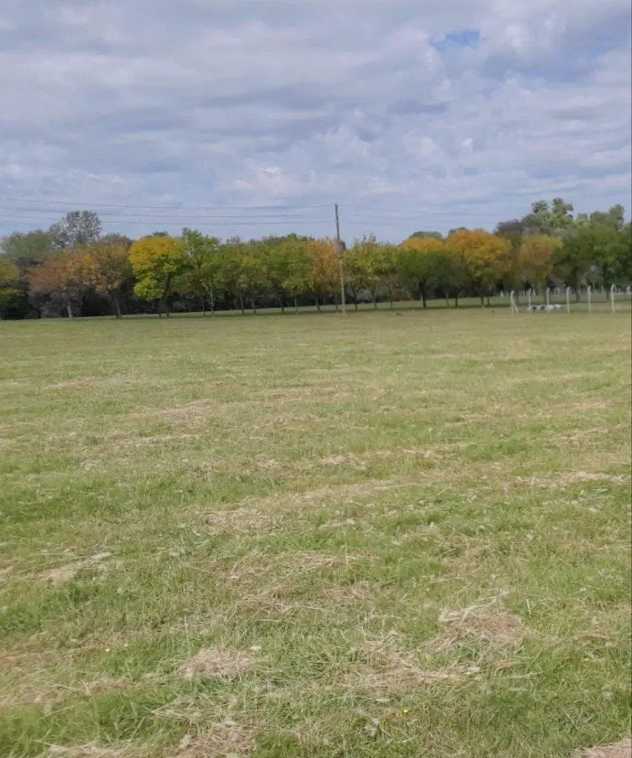 LOTE EN VENTA 1500M2 PILAR ZELAYA 2