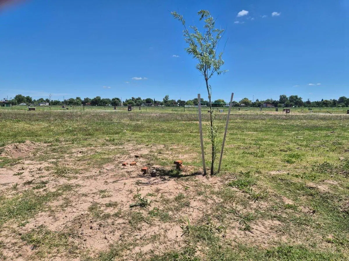 LOTE BARRIO CERRADO SAN PABLO CHICO . 3
