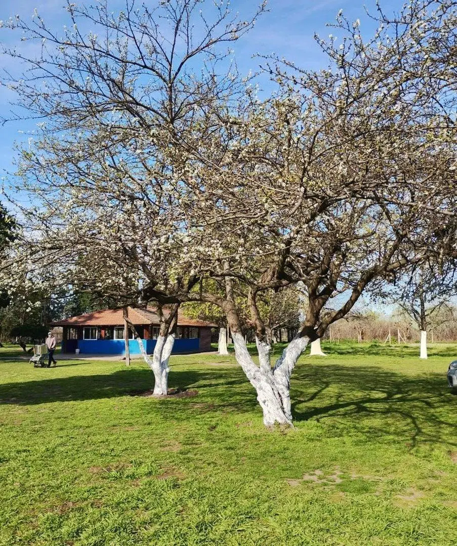 VENTA  DE LOTE,  CON VIVIENDAS. . 2