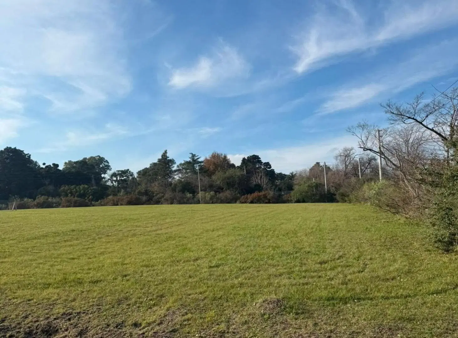 LOTE 1500 M2 EN VENTA ZELAYA PILAR 3