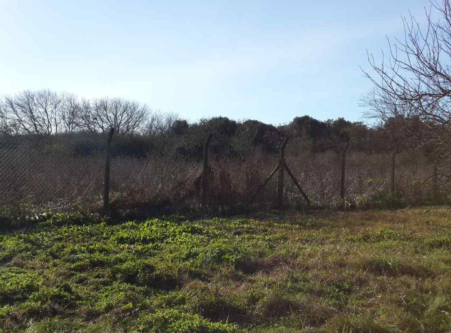 Foto de LOTE, 3 HECTAREAS CON 5 VIVIENDAS., imagen 3