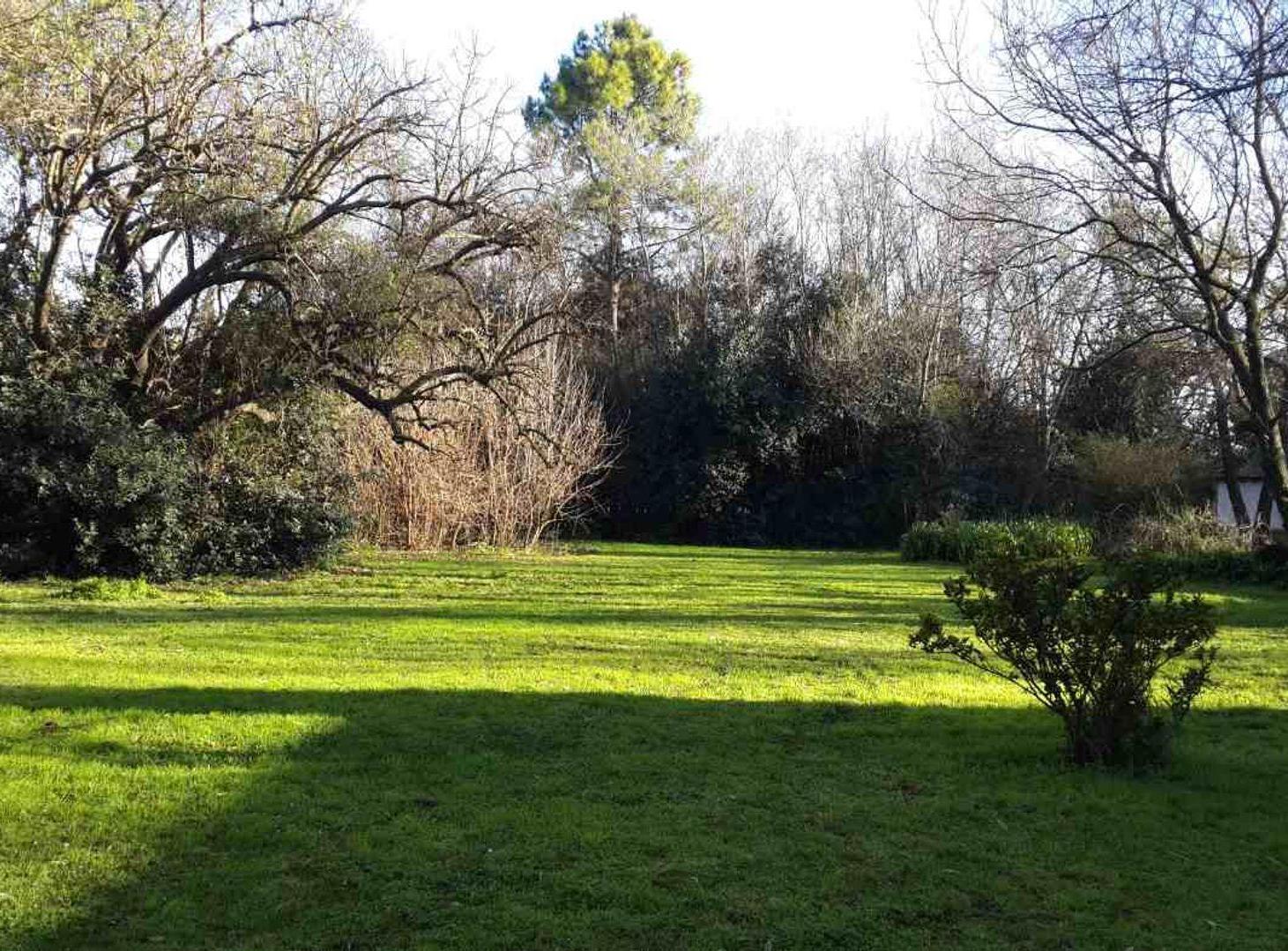 Foto de LOTE, 3 HECTAREAS CON 5 VIVIENDAS., imagen 1