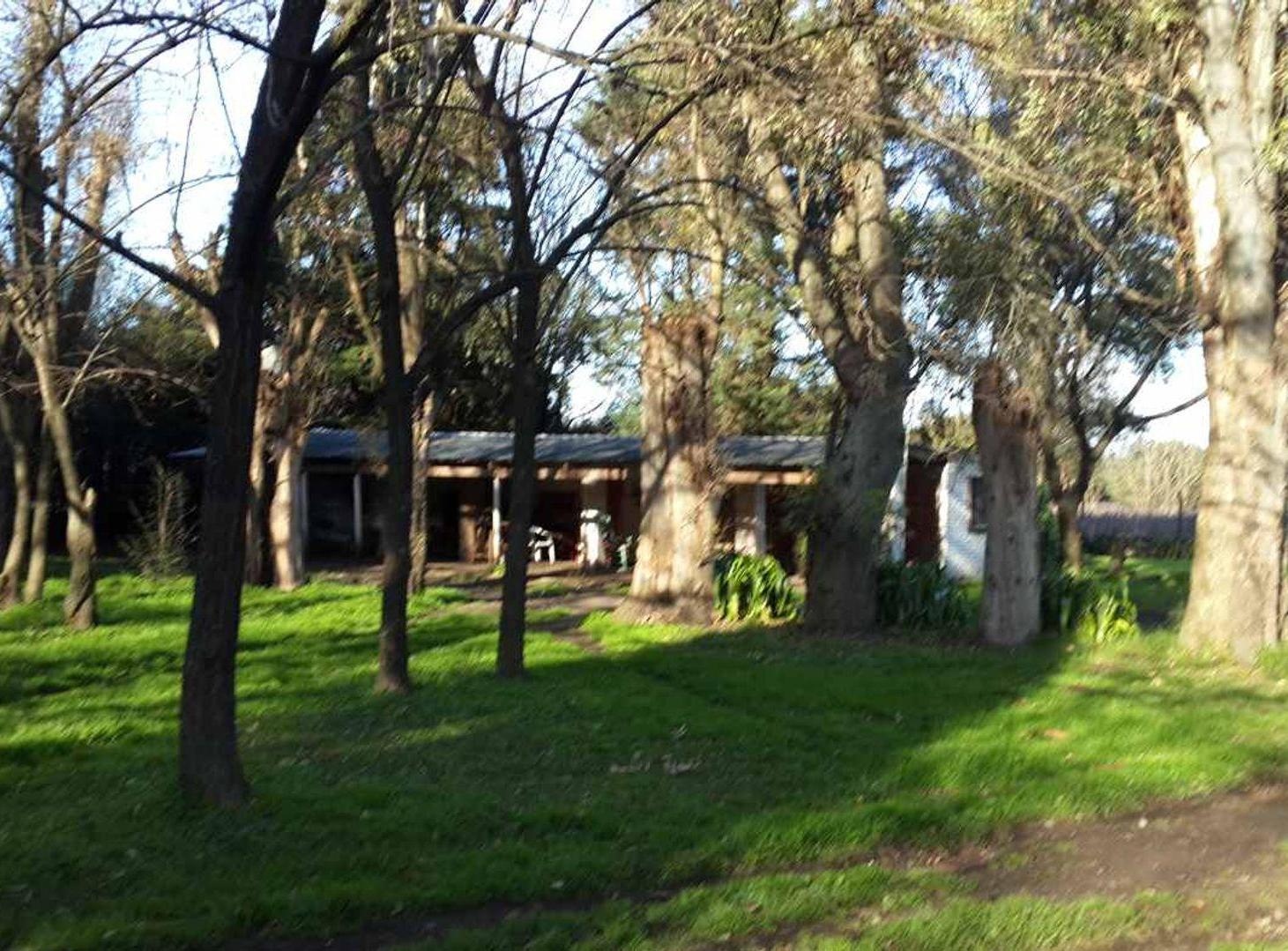 Foto de LOTE, 3 HECTAREAS CON 5 VIVIENDAS., imagen 4