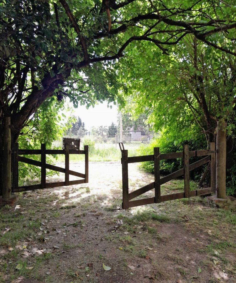 Foto de CAMPO 2,04HA-PECÁN EN PRODUCCIÓN-ZELAYA, imagen 2