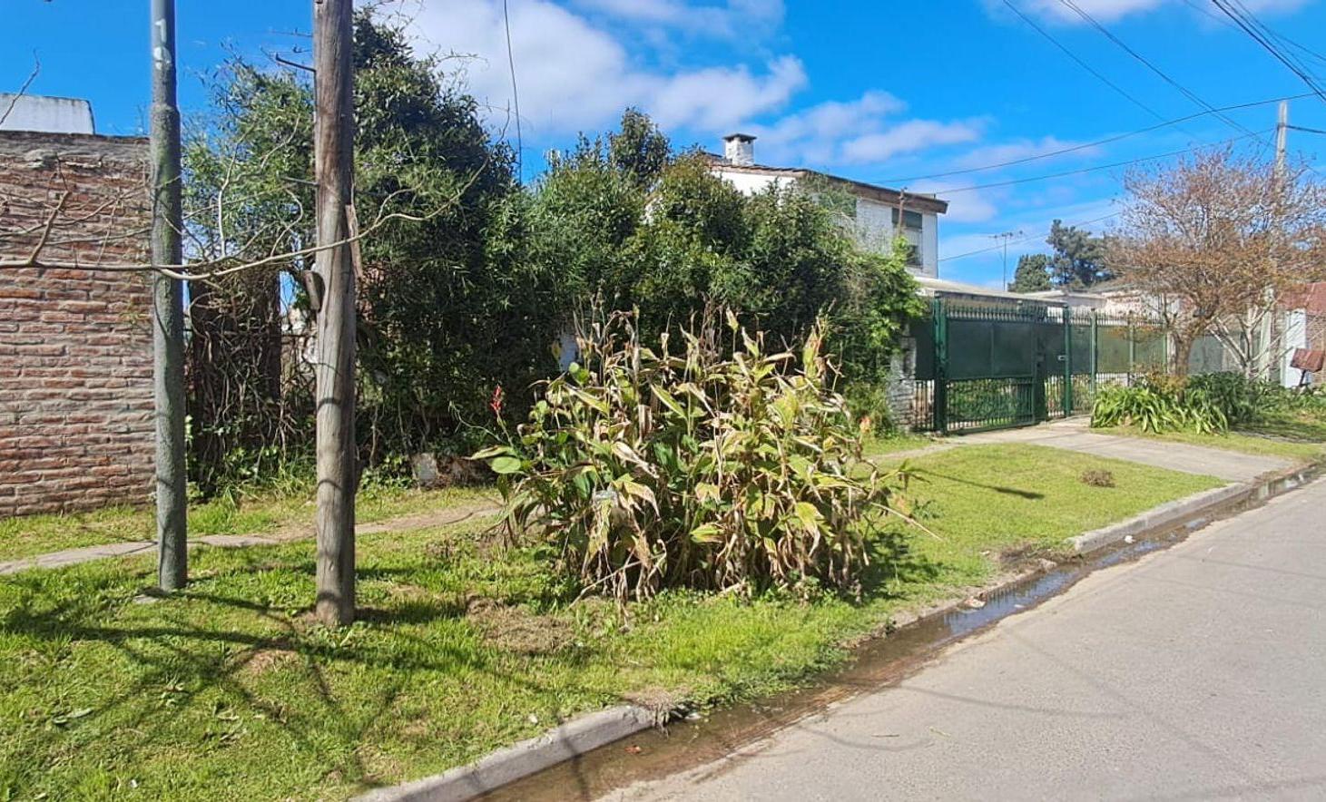 Foto de LOTE CON MEJORAS, imagen 5