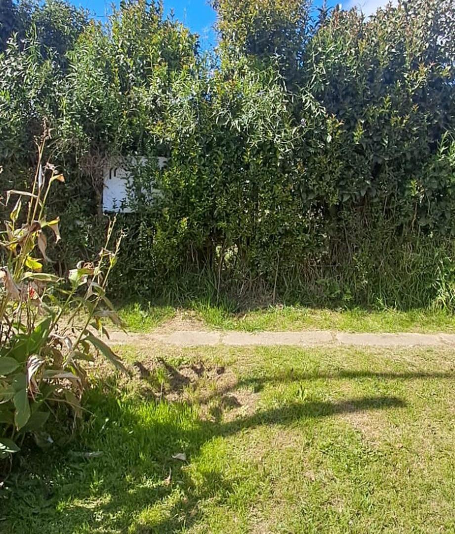 Foto de LOTE CON MEJORAS, imagen 3