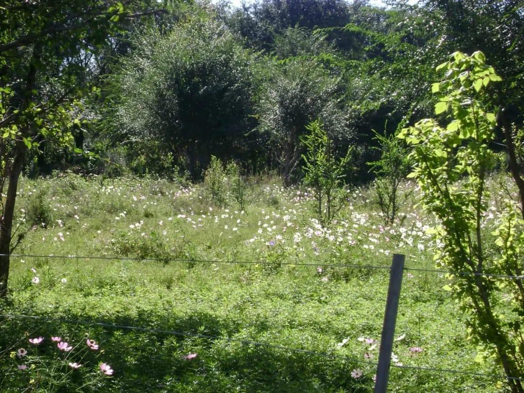 Terrenos en Venta La Cumbre 3