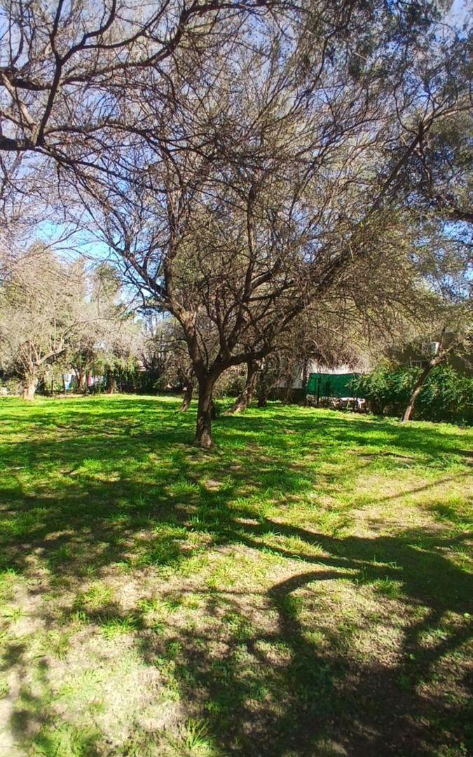 Foto de LOTES EN VENTA SOBRE AV TISSERA, EL TALAR MENDIOLAZA, imagen 1