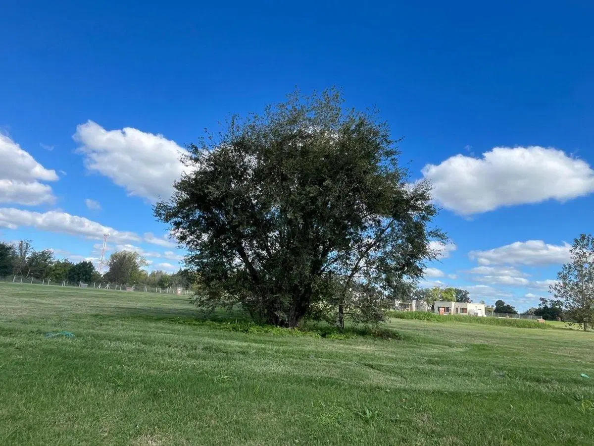 VENTA LOTE BARRIO SAN SEBASTIAN ÁREA 13 ETAPA 2 4