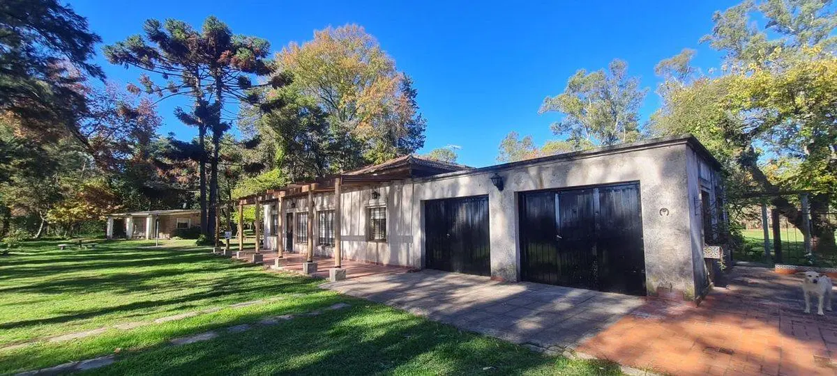 VENTA CAMPO EN PILAR, OPORTUNIDAD. 4 HECTAREAS. 3