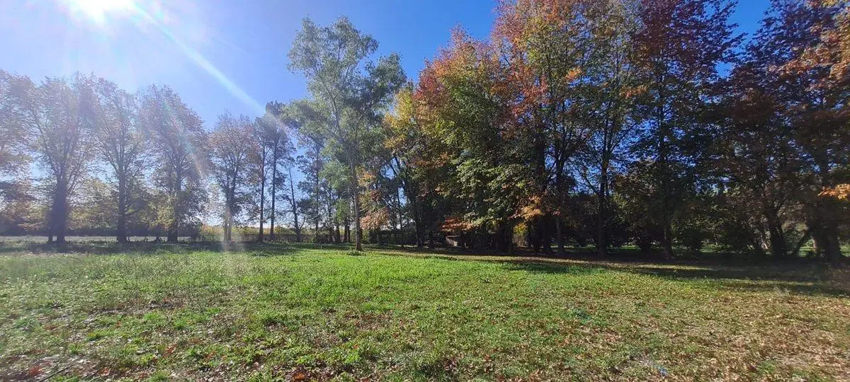 VENTA CAMPO EN PILAR, OPORTUNIDAD. 4 HECTAREAS. 2