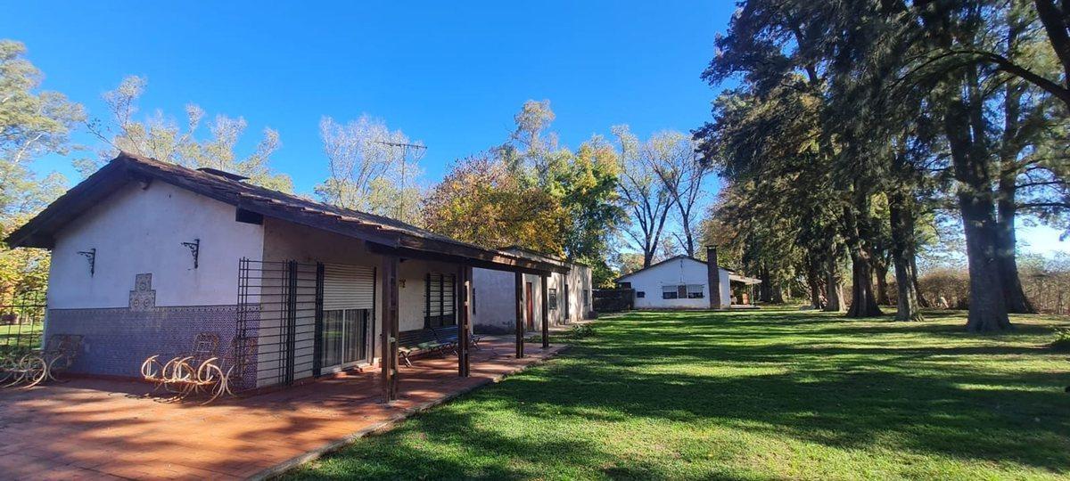 VENTA CAMPO EN PILAR, OPORTUNIDAD. 4 HECTAREAS.