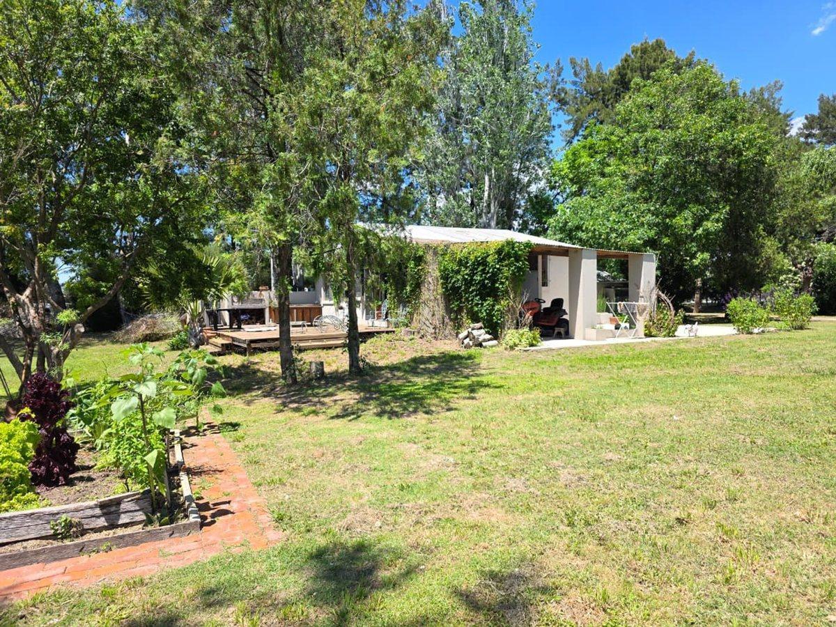 Foto de ALQUILER COMERCIAL CASA GRAN LOTE ZONA NORDELTA, imagen 1