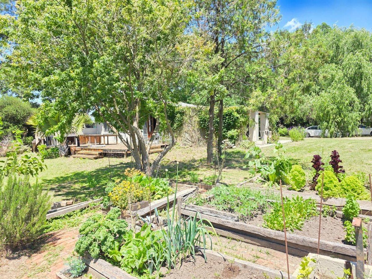 Foto de ALQUILER COMERCIAL CASA GRAN LOTE ZONA NORDELTA, imagen 4