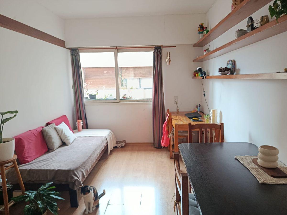 Foto de Departamento de 2 dormitorios en La Plata Soho, ideal estudiantes, imagen 2