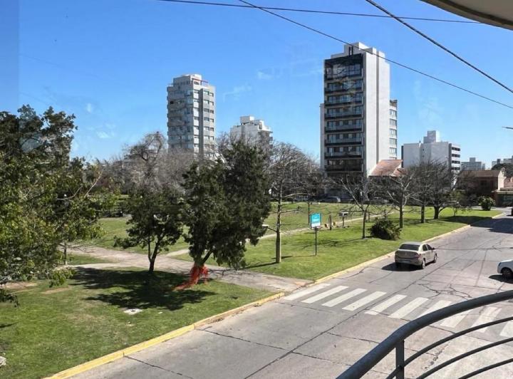 Departamento - La Plata 5