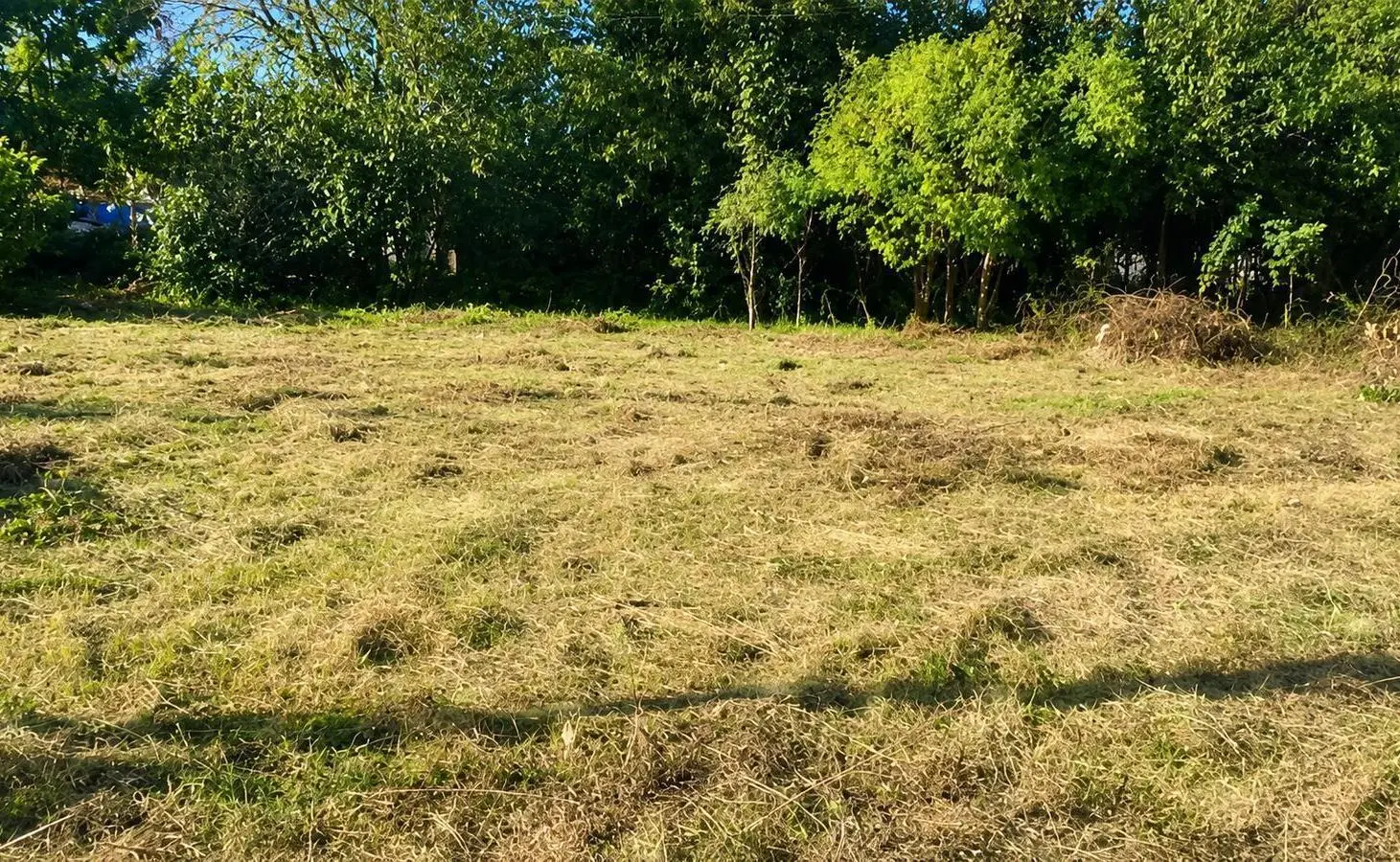 Terrenos en venta en General Rodríguez 1