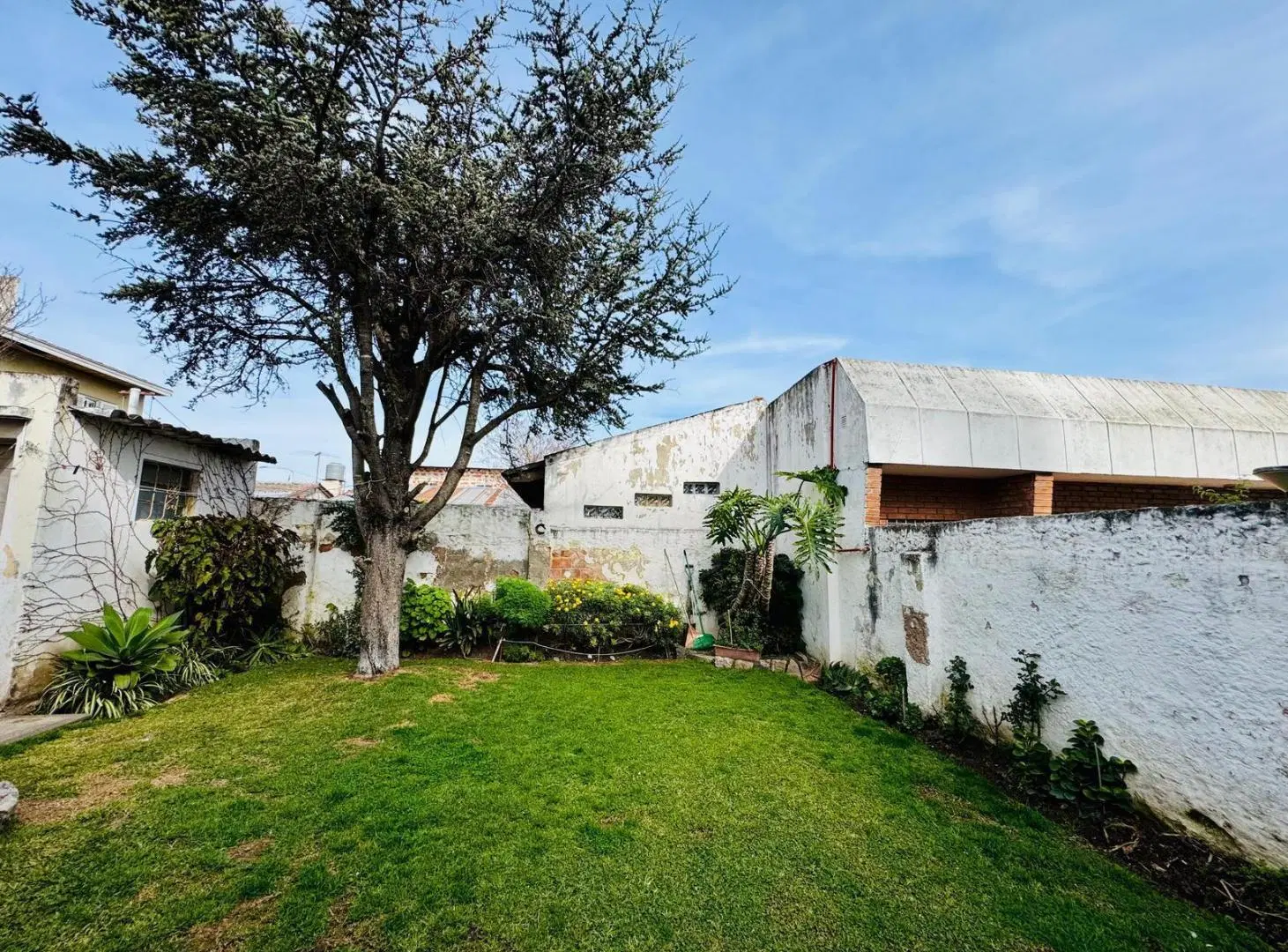 Oportunidad en Berazategui | Vivienda con potencial para consultorios, oficinas o uso profesional 2