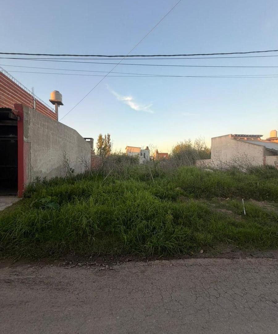 Foto de TERRENO, imagen 2