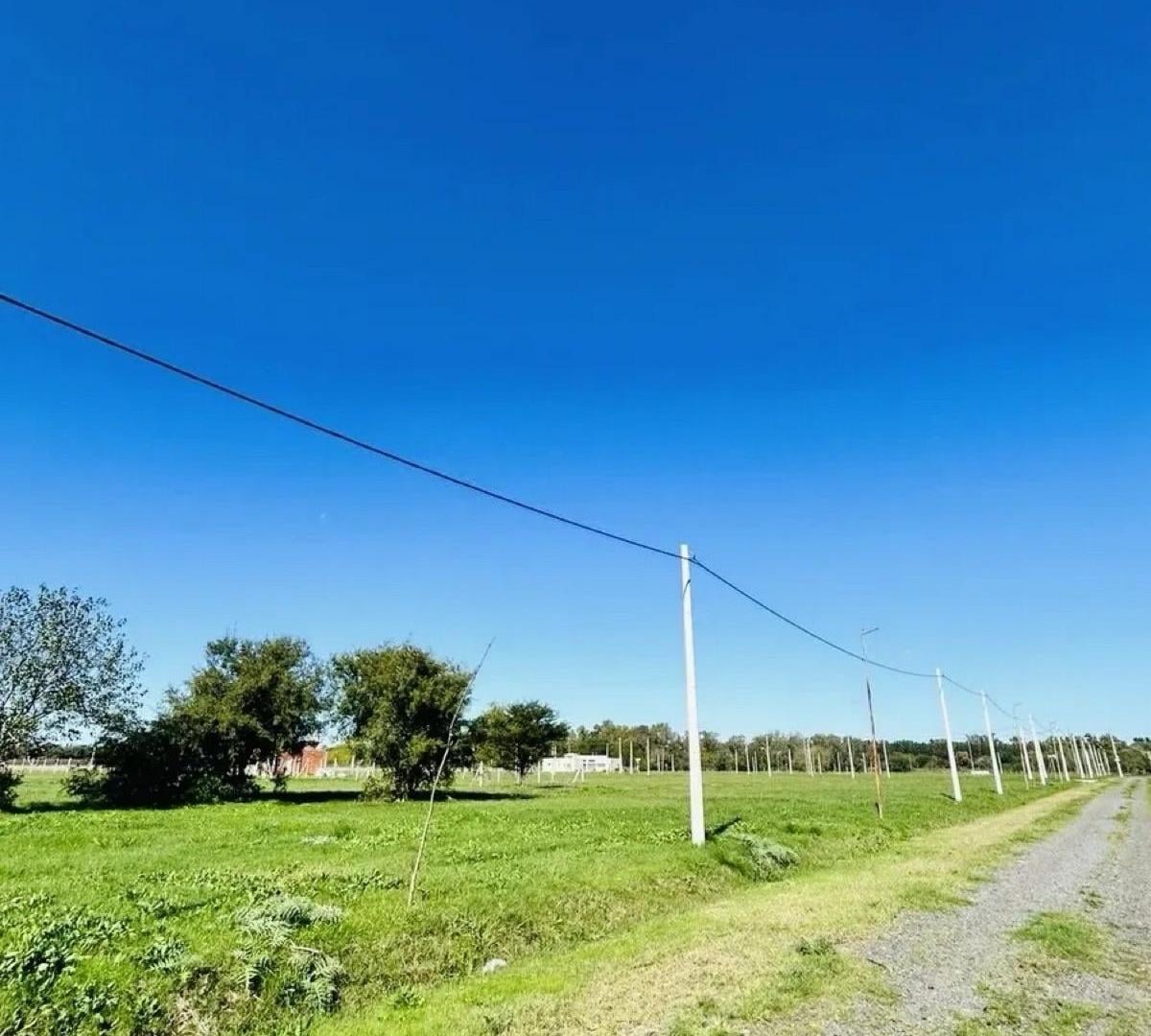 Foto de Lote con ESCRITURA en calle 510 165 y 166 Barrio Don Basilio, imagen 5