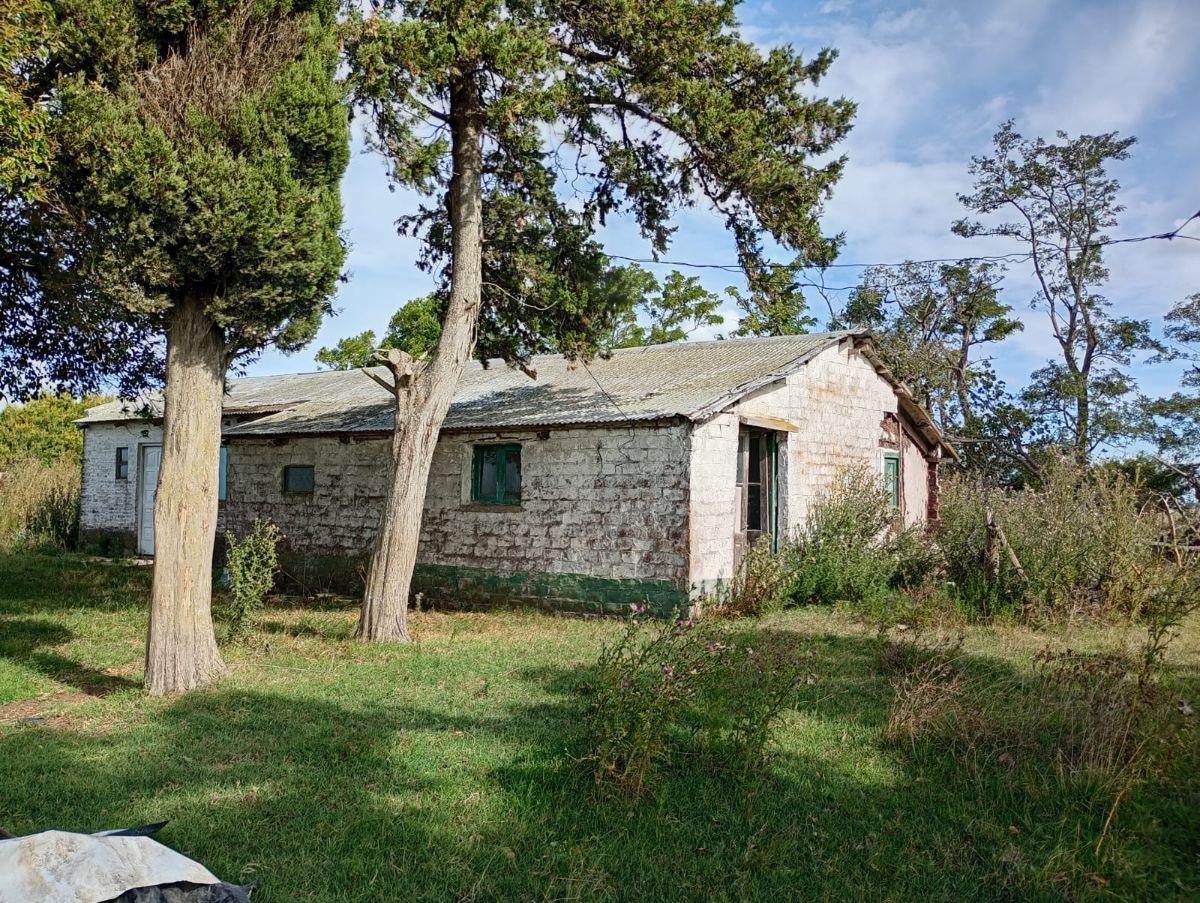 Foto de IMPORTAMTE CAMPO DE 302 HA EN CASCOMUS, imagen 4