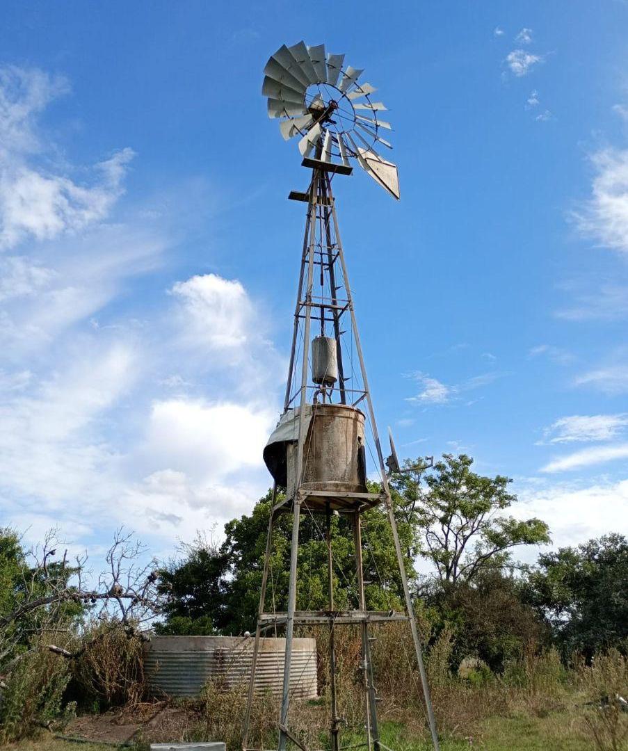 Foto de IMPORTAMTE CAMPO DE 302 HA EN CASCOMUS, imagen 3