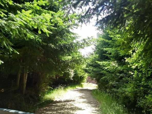 Terreno De2800 m² El Bolson 2