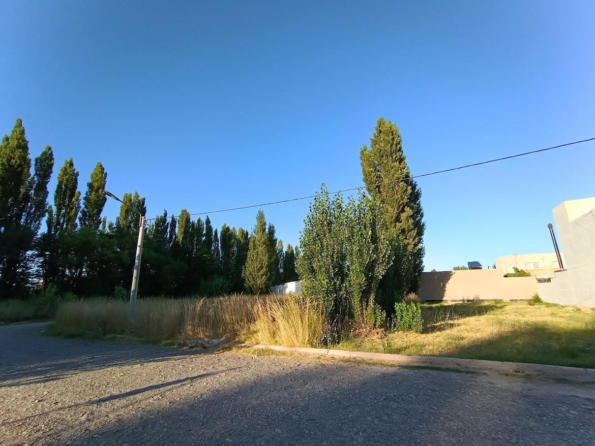 Terreno en Esquina Plottier - Altos de Conea 1
