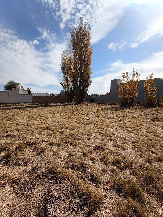 Terreno en Esquina Plottier - Altos de Conea 5