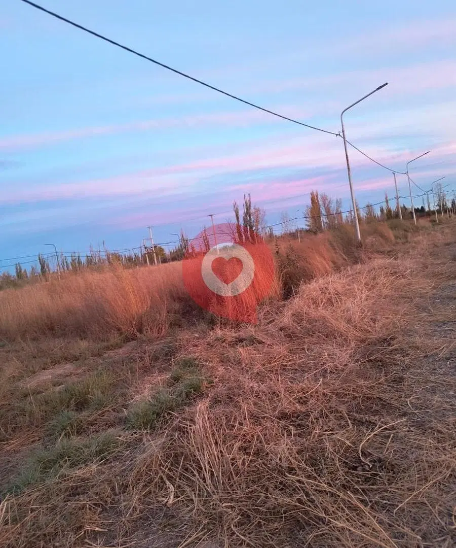 Terreno en Allen. Loteo "La Luisa". 2