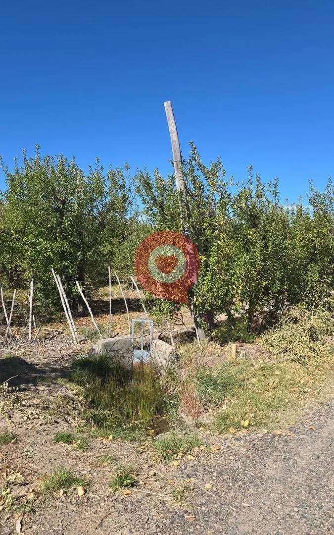 Chacra en Venta 2