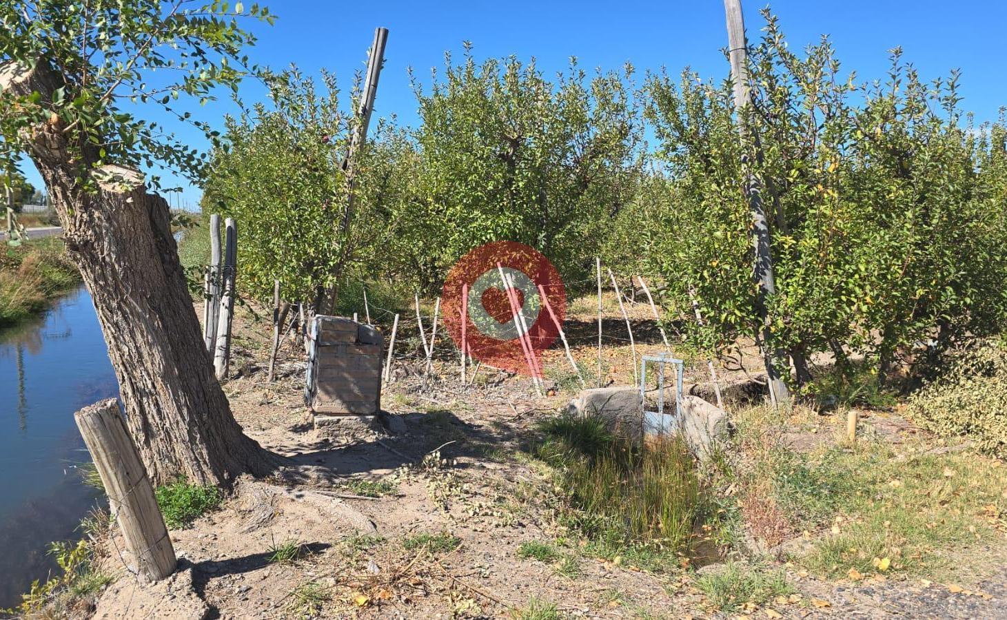 Foto de Chacra en Venta,frente a ruta N°65,Fdez Oro, imagen 5