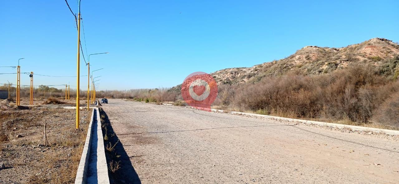 Foto de Terreno en Centenario, imagen 3