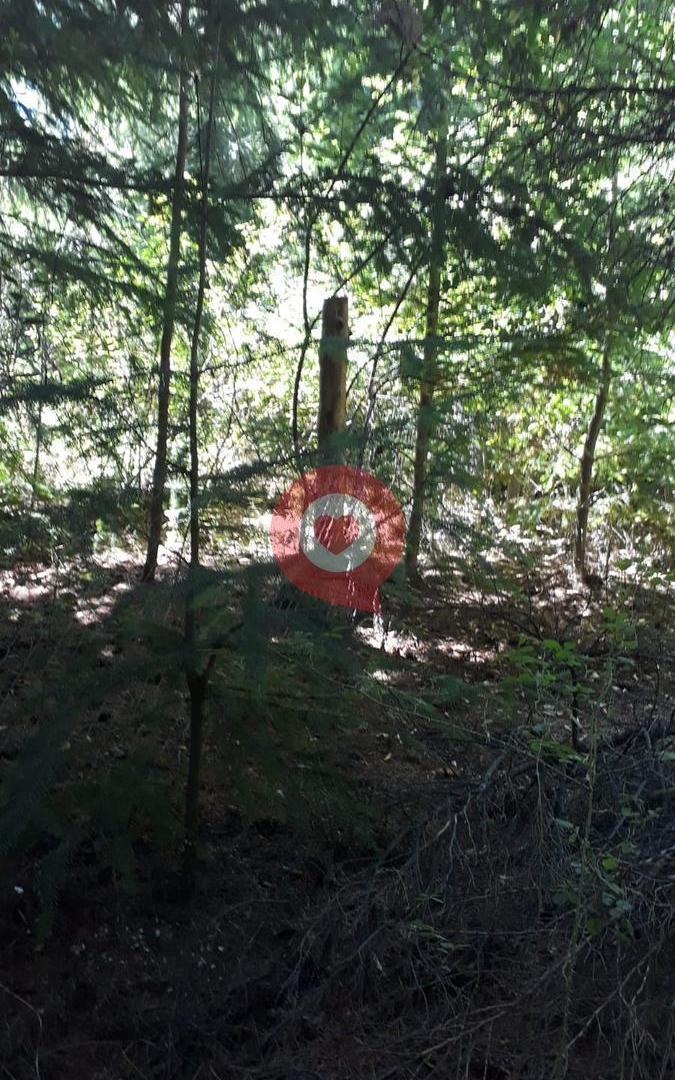 Foto de Terreno en Mallin Ahogado, imagen 3
