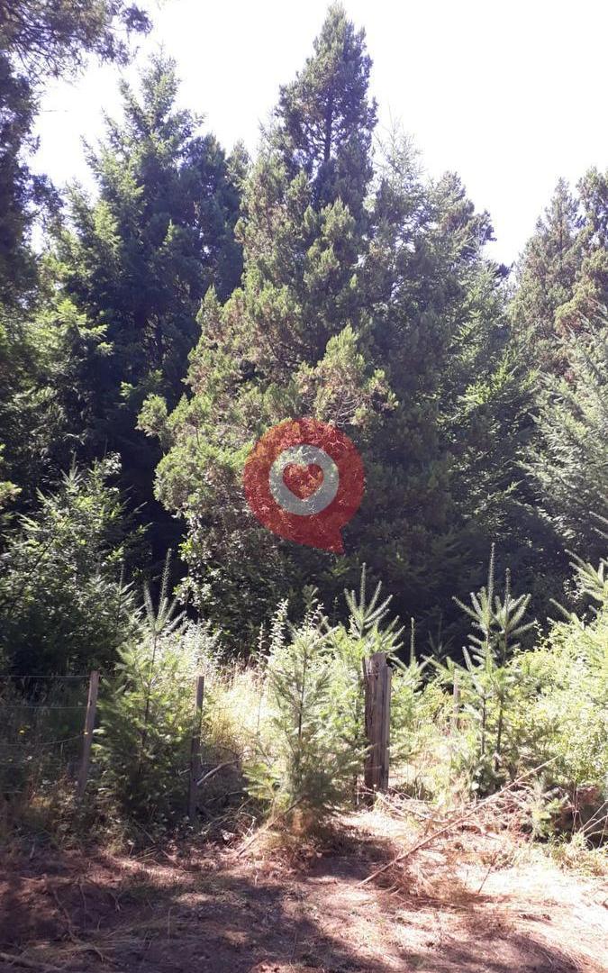 Foto de Terreno en Mallin Ahogado, imagen 1