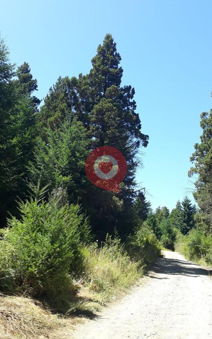 Foto de Terreno en Mallin Ahogado, imagen 2