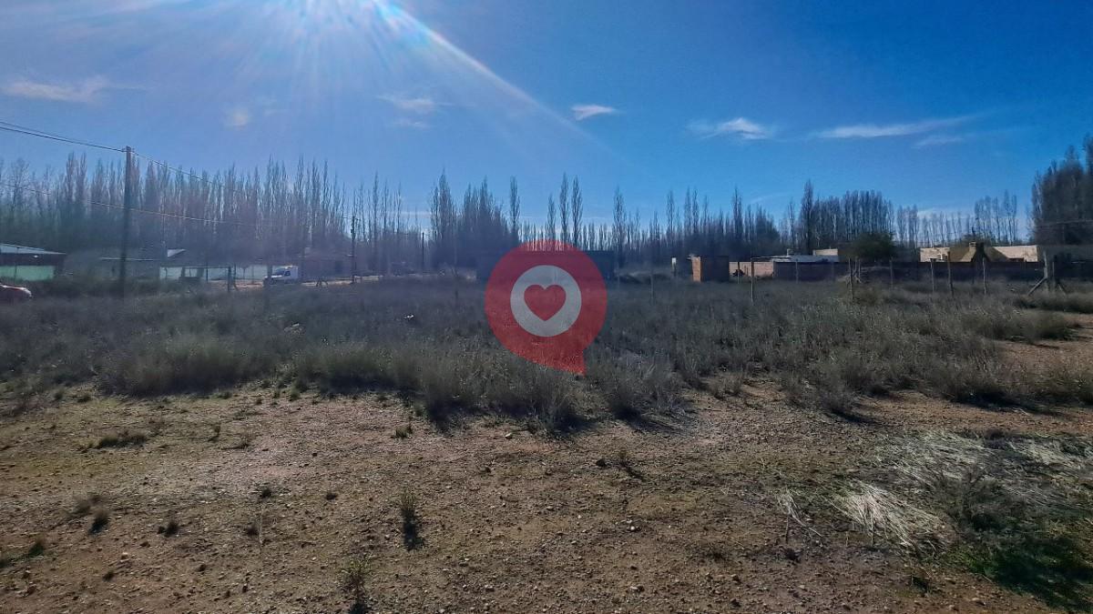 Foto de VENTA Terreno en Plottier, imagen 4