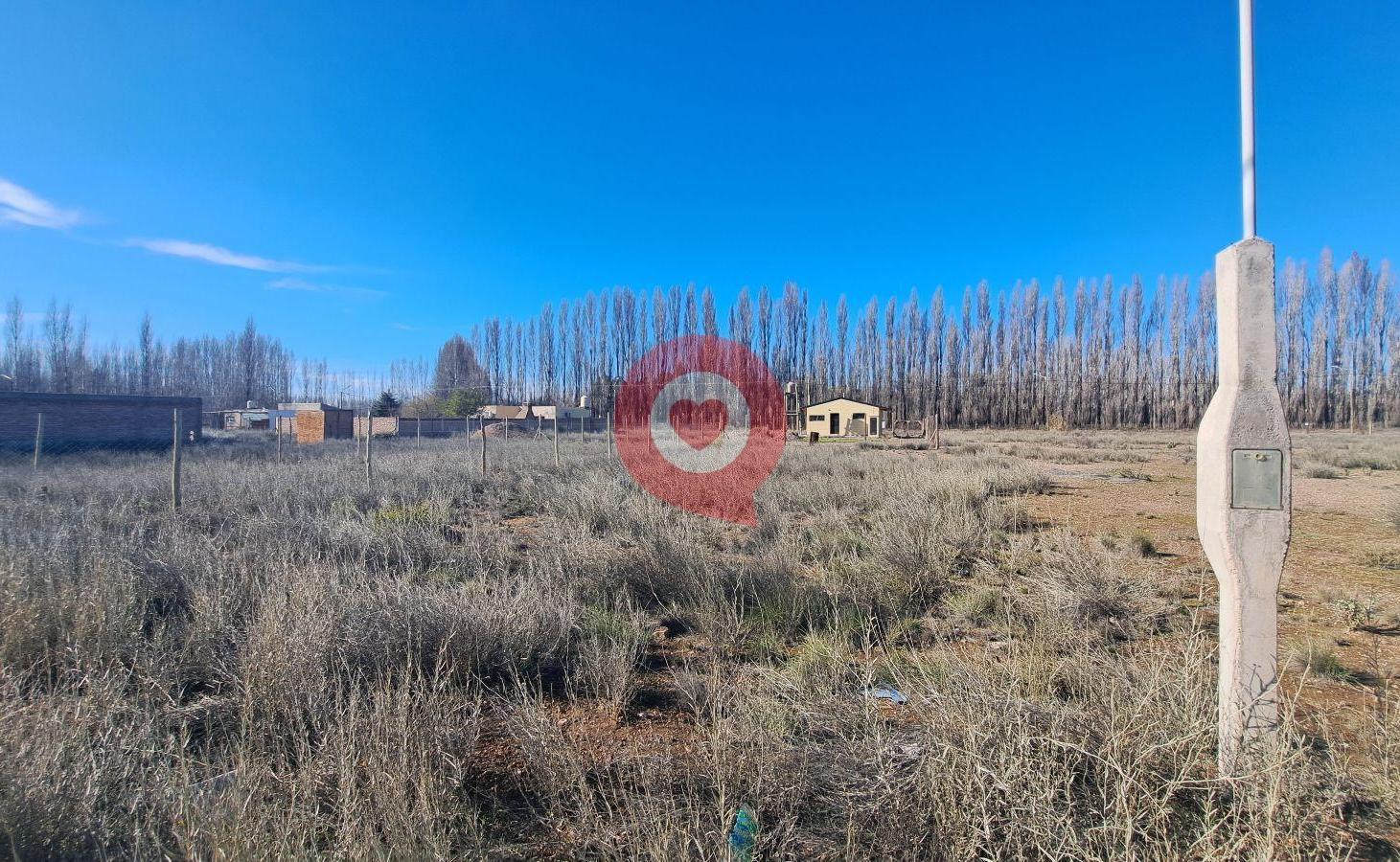 Foto de VENTA Terreno en Plottier, imagen 1