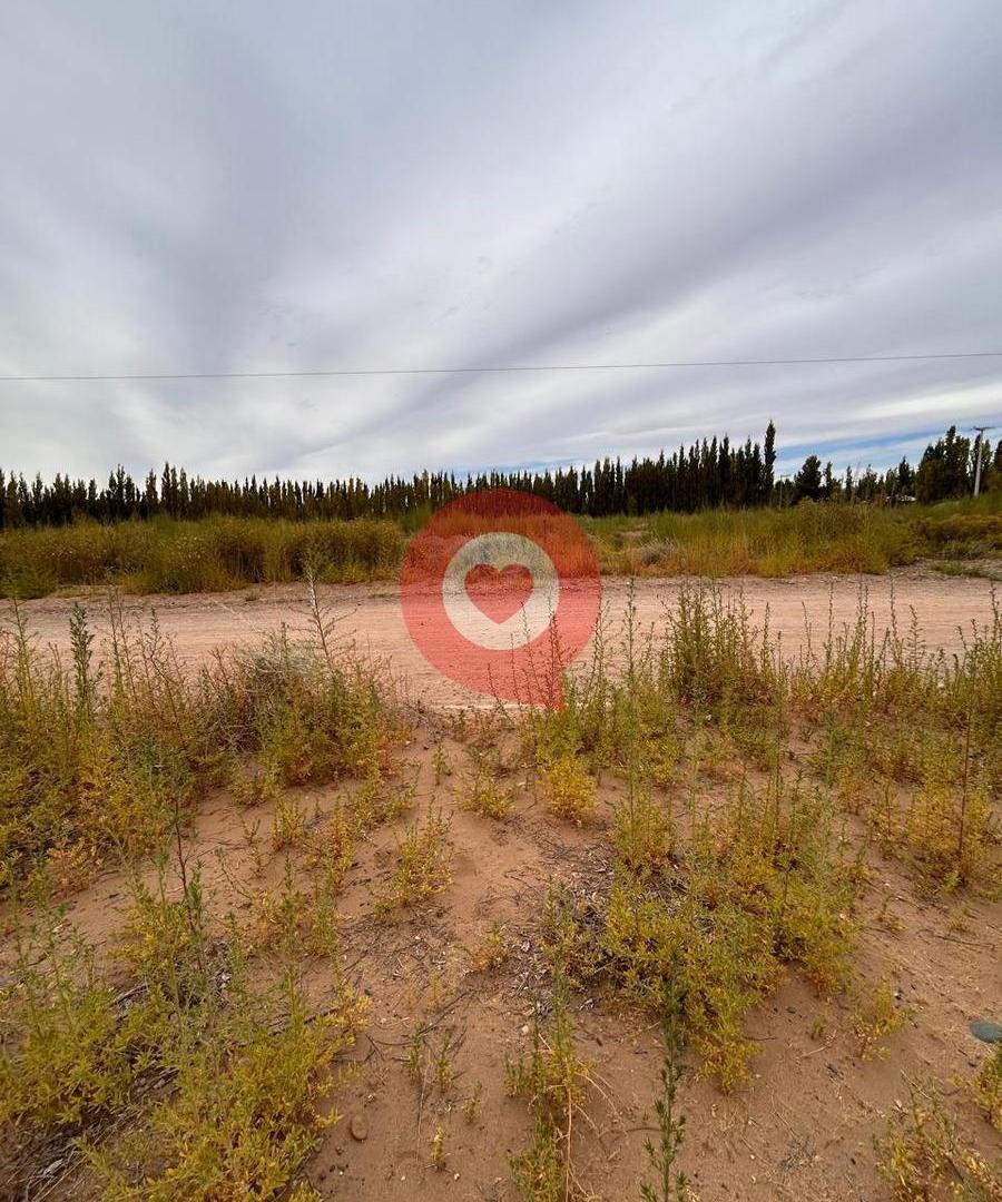 Foto de venta en exclusiva de terreno en loteo peumayen, imagen 3