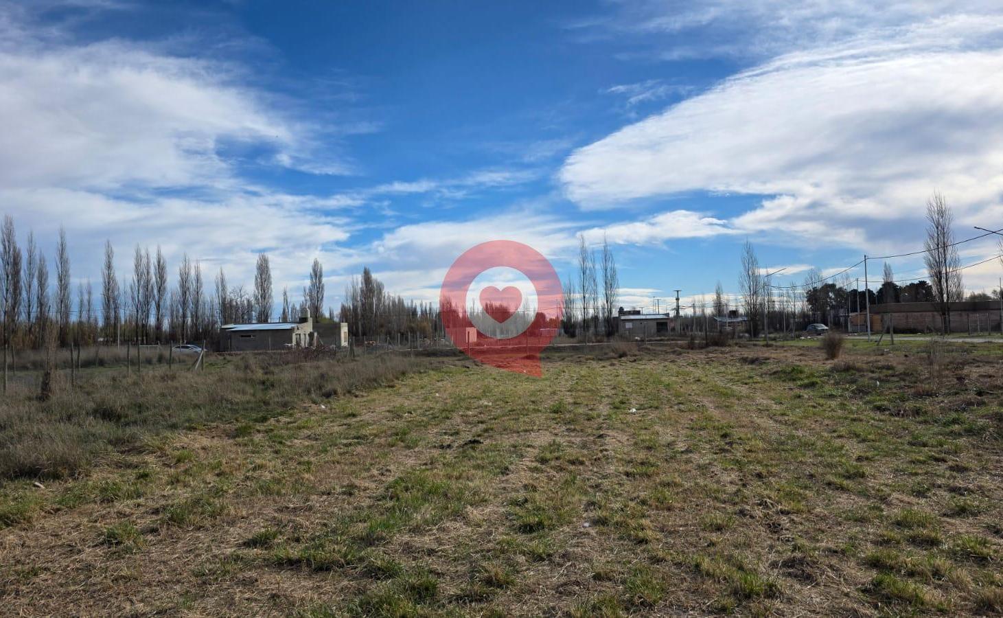 Foto de Terreno en Plottier, imagen 4