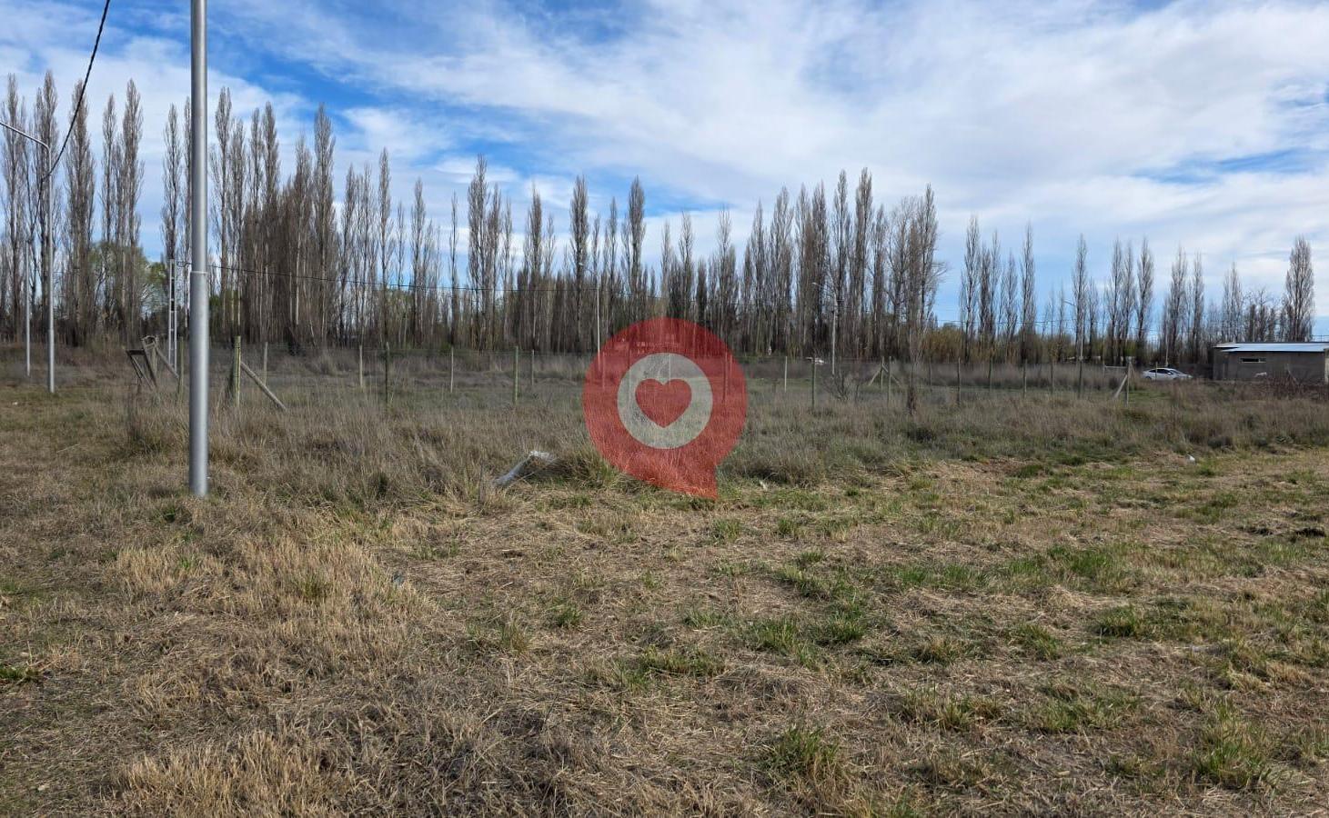 Foto de Terreno en Plottier, imagen 5