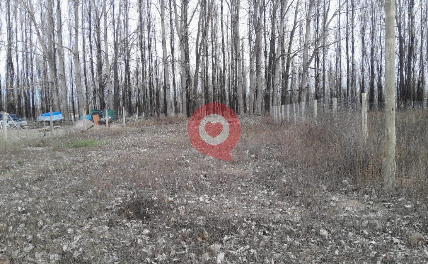 Foto de Terreno en China Muerta, imagen 3