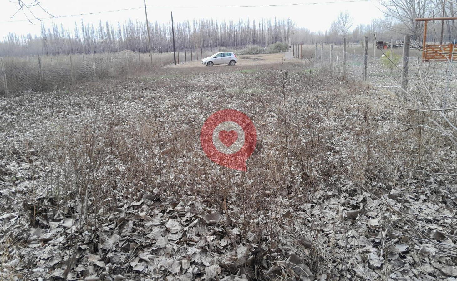 Foto de Terreno en China Muerta, imagen 5