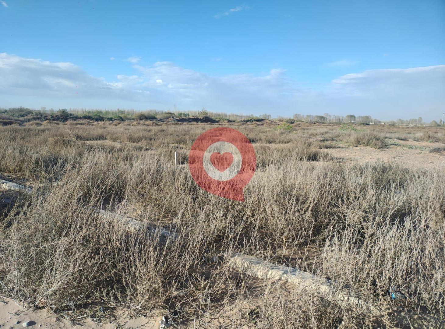 Foto de Terreno en Confluencia, imagen 2