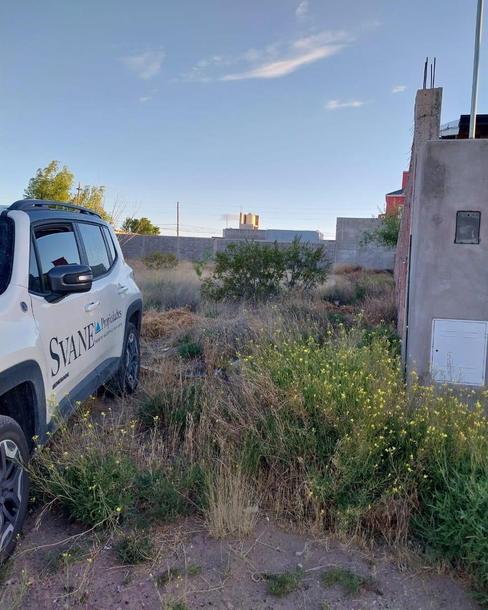 Lote en Venta Jume E/ Av de Los Avellanos y Rauli Precio U$d34.000 1