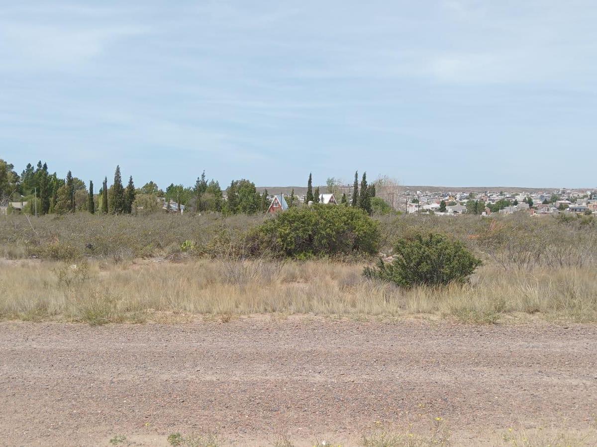 Lote en Venta Los Arrayanes E/ Los Paraisos y Yaoyin Precio U$d28.000 5
